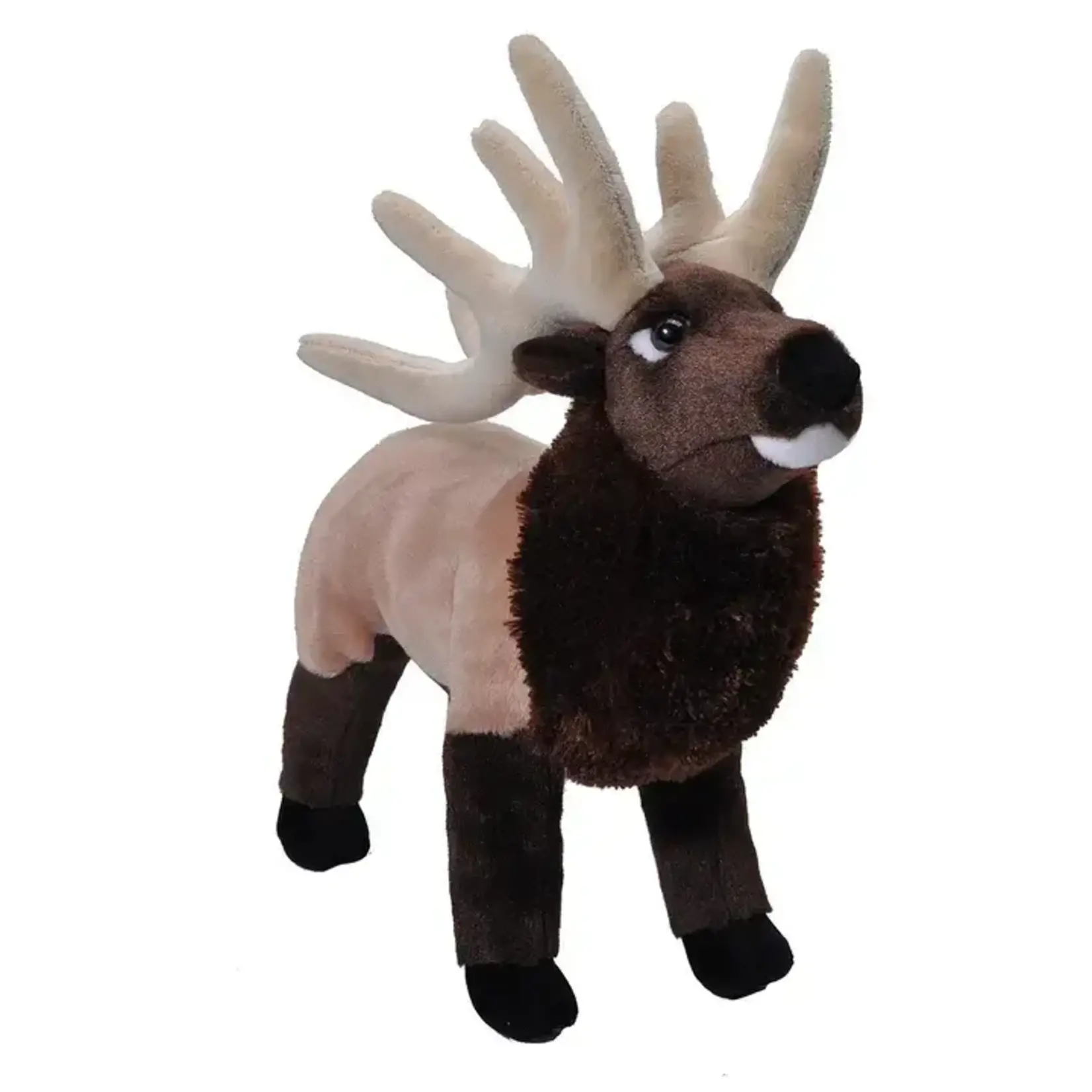 Elk