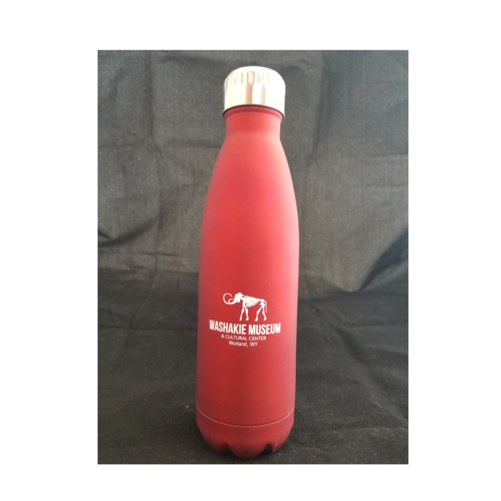 Museum Water Bottle red