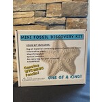 Mini Fossil Discovery Kit