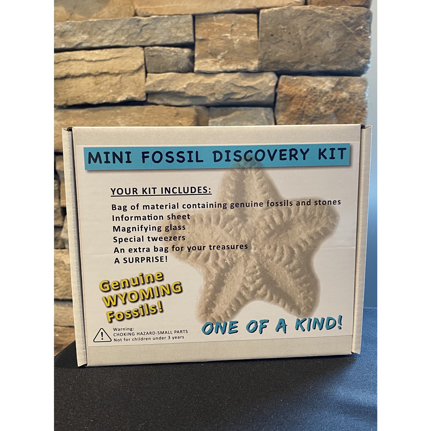 Mini Fossil Discovery Kit