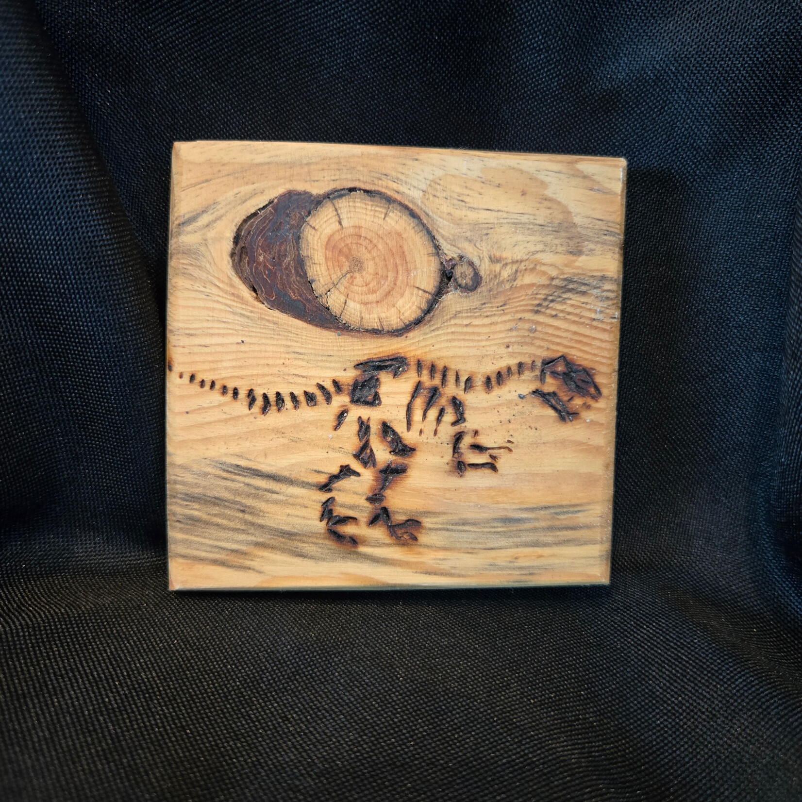 FUL Dinosaur Magnets