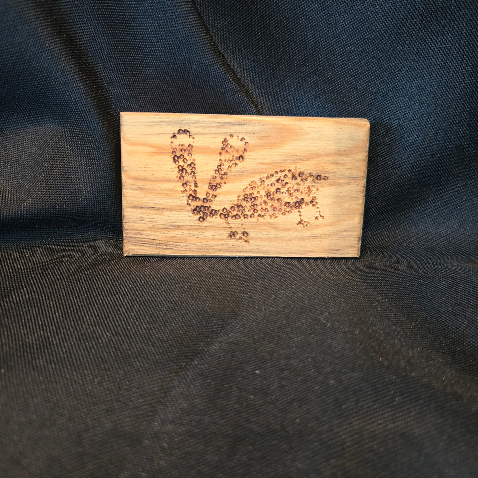 FUL Dinosaur Magnets