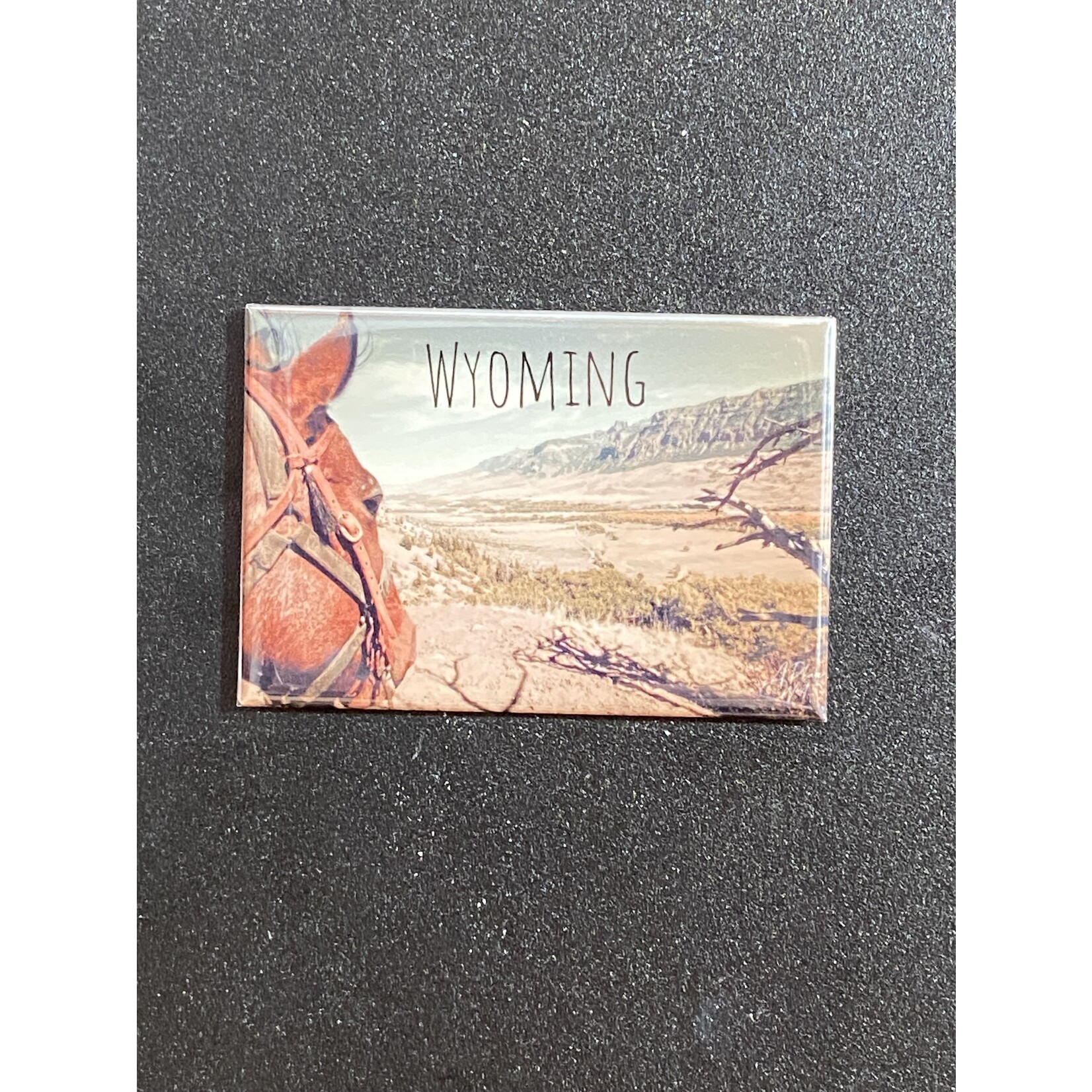 Wyoming horse view magnet