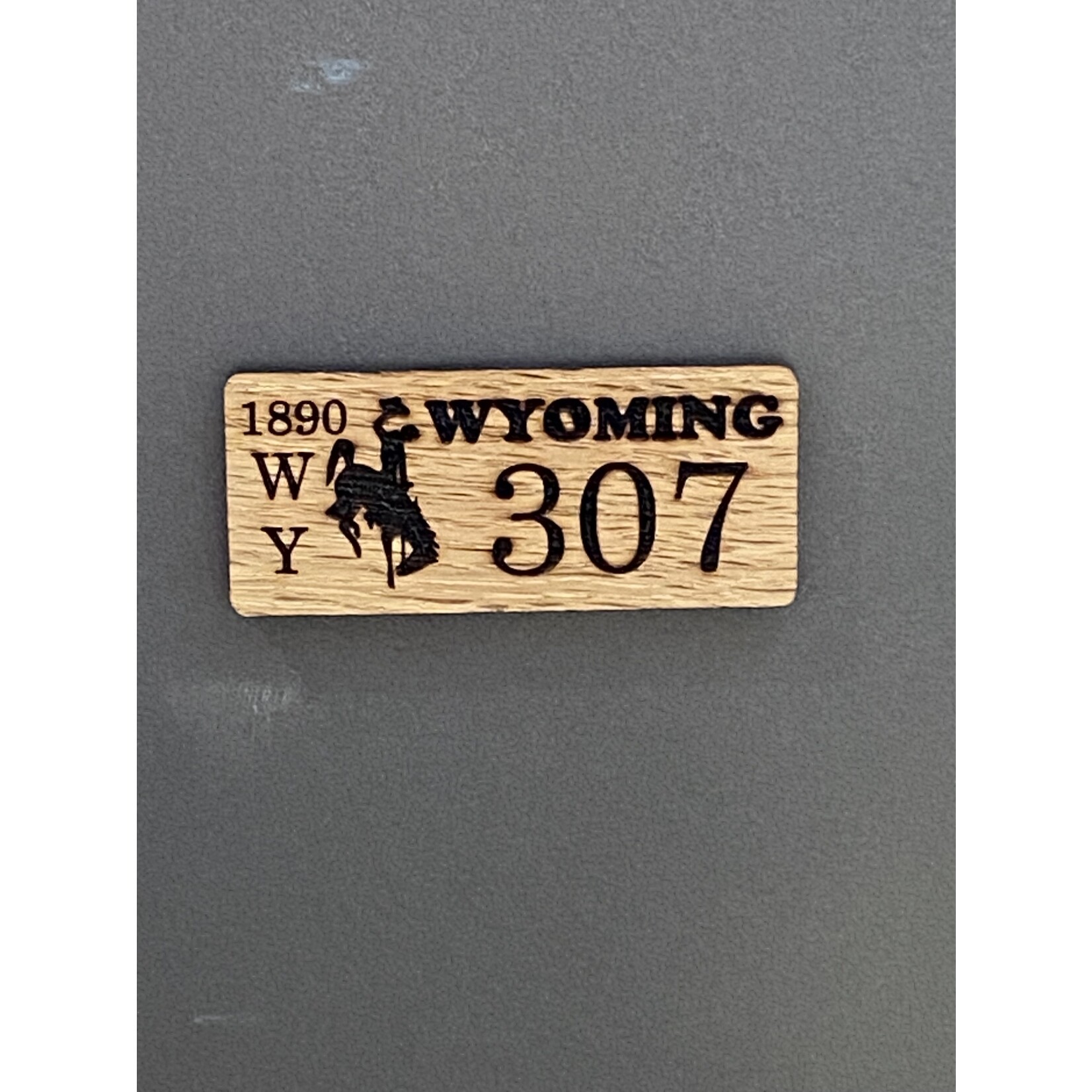 307 Wyo License Plate Magnet
