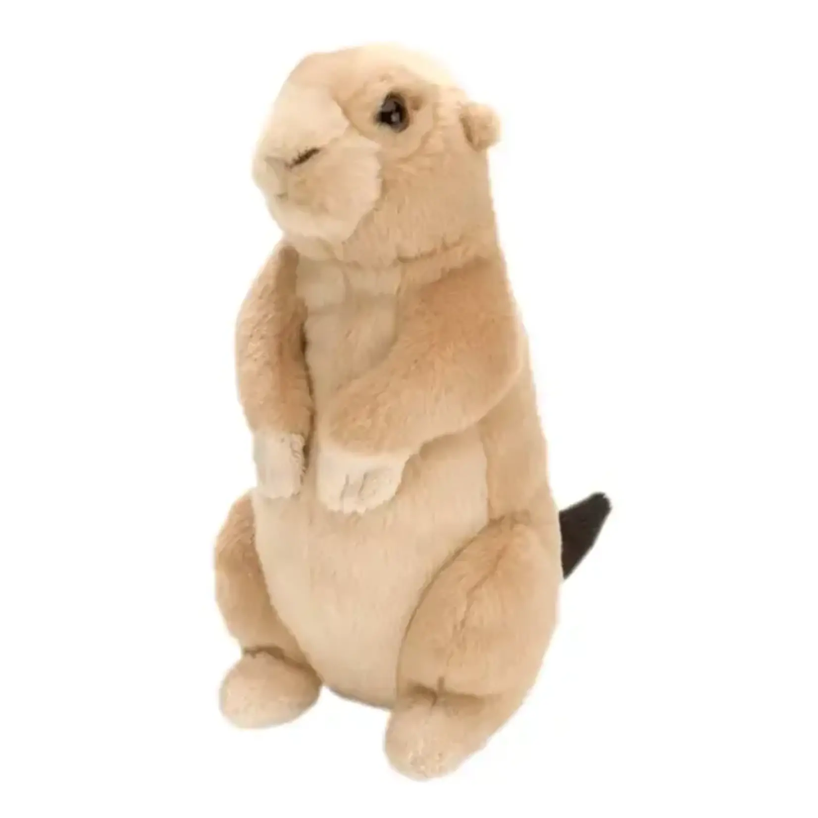 Mini Prairie Dog