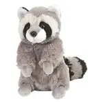 Raccoon Large