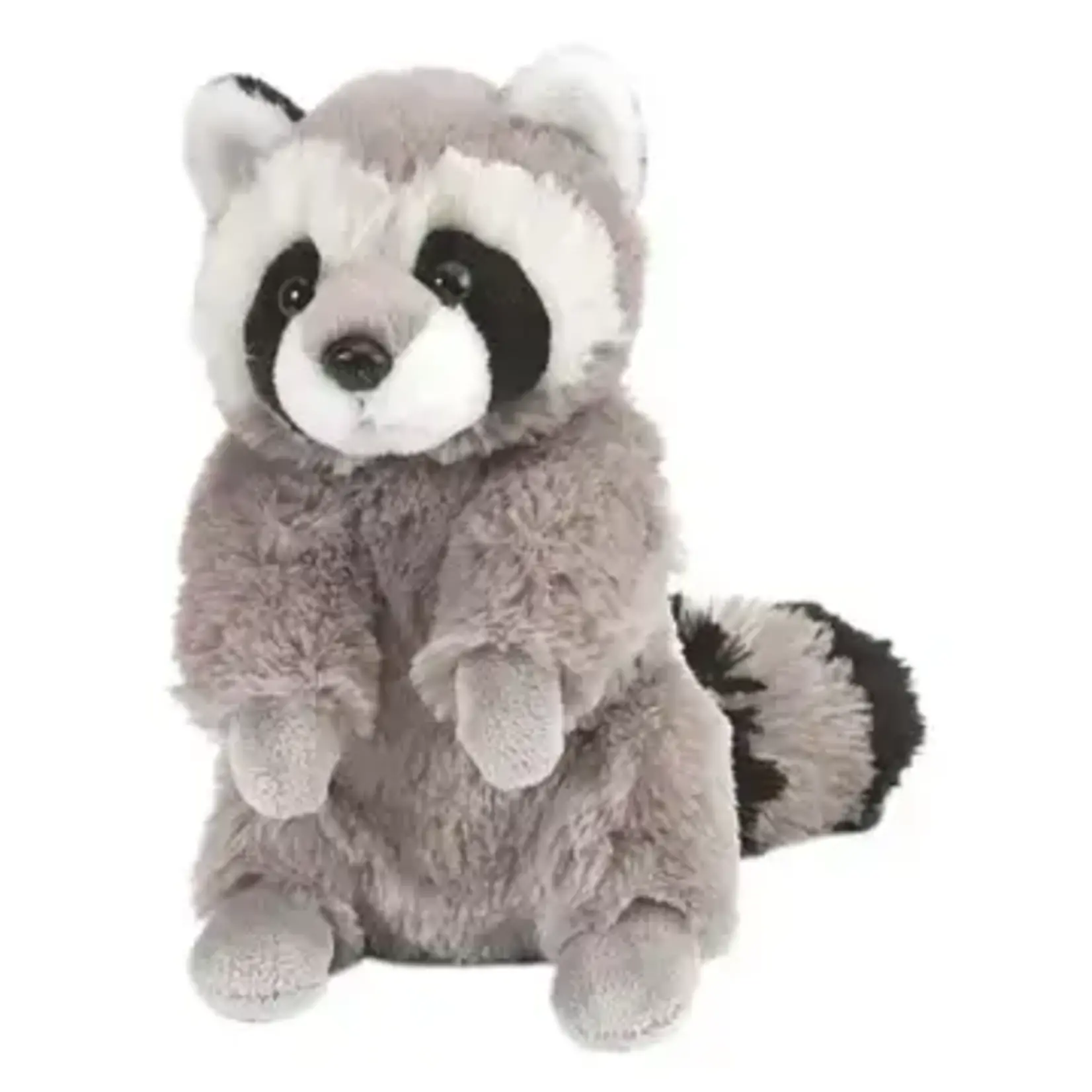 Raccoon Large