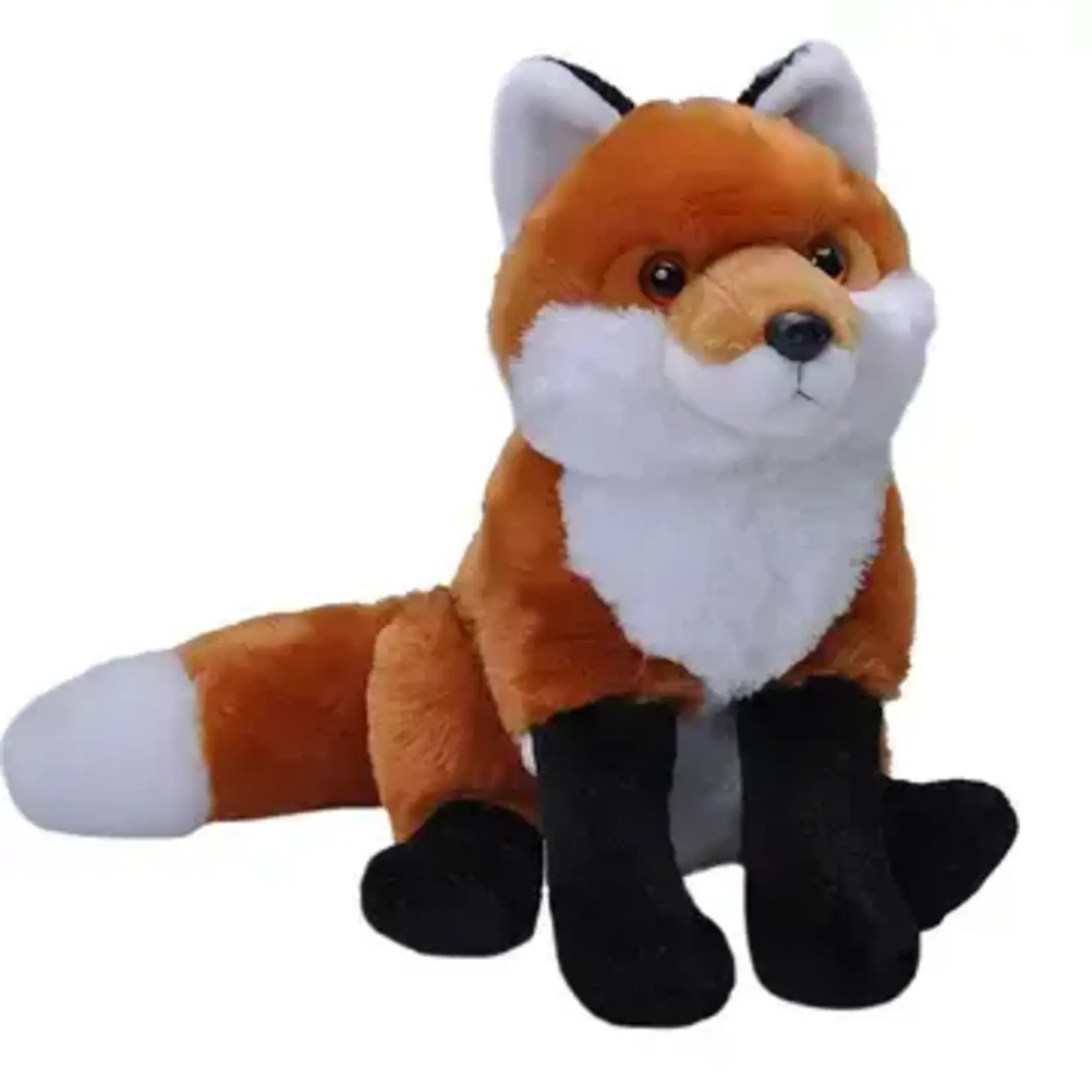 Red Fox