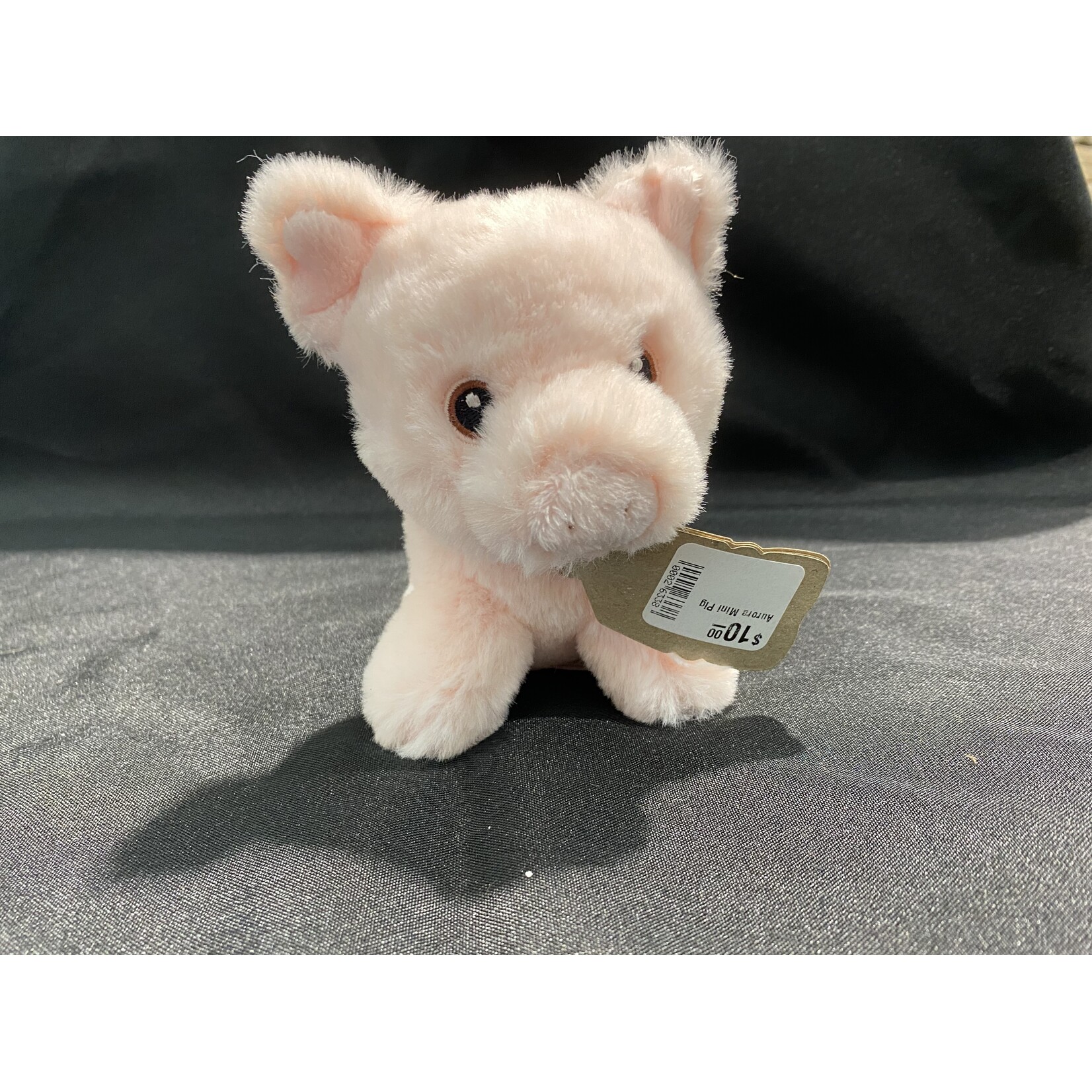 Aurora Mini Pig