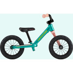 Cannondale Kids Trail Balance