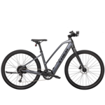 Trek TREK Dual Sport+ 2 Stagger