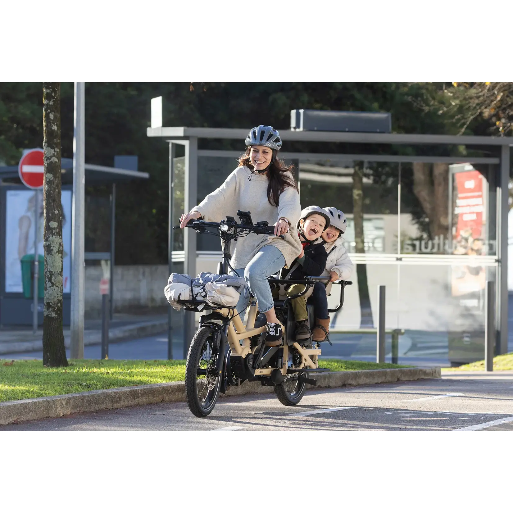 Tern Tern GSD P00 Gen 3 (500wh)