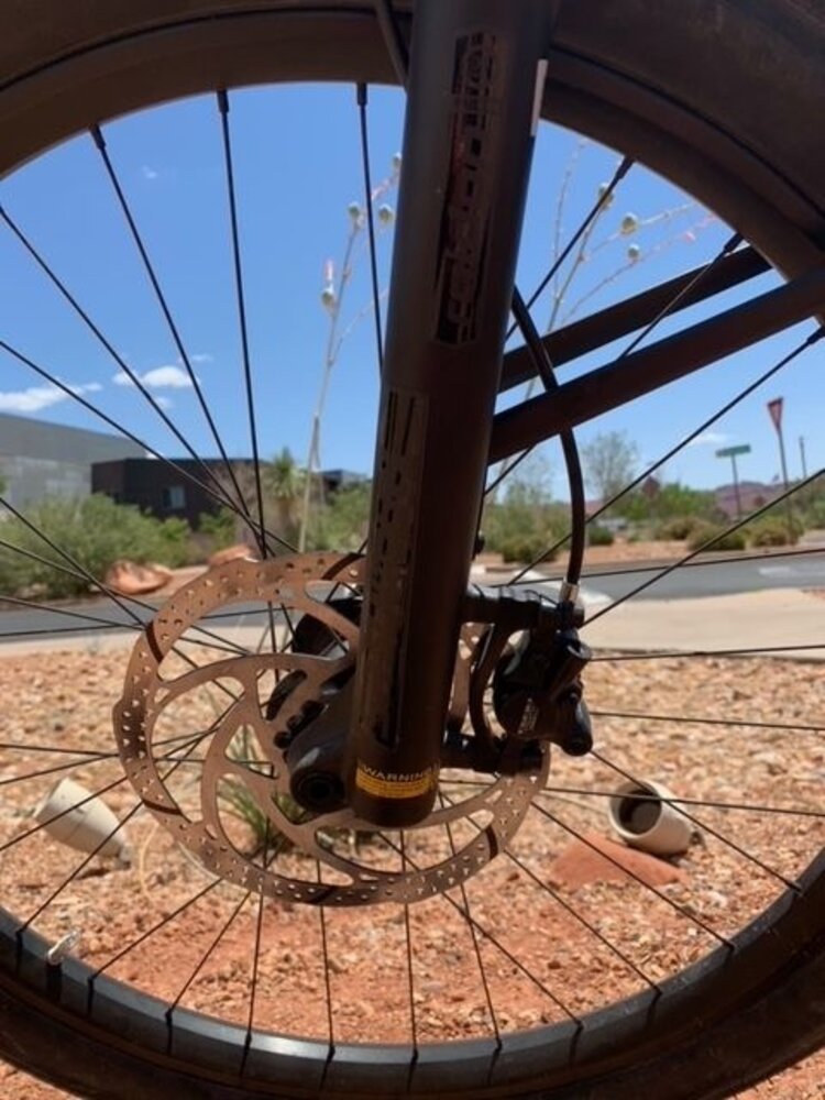 DNA Cycling 2024 IBB Custom Socks  - Blue Orange - Medium