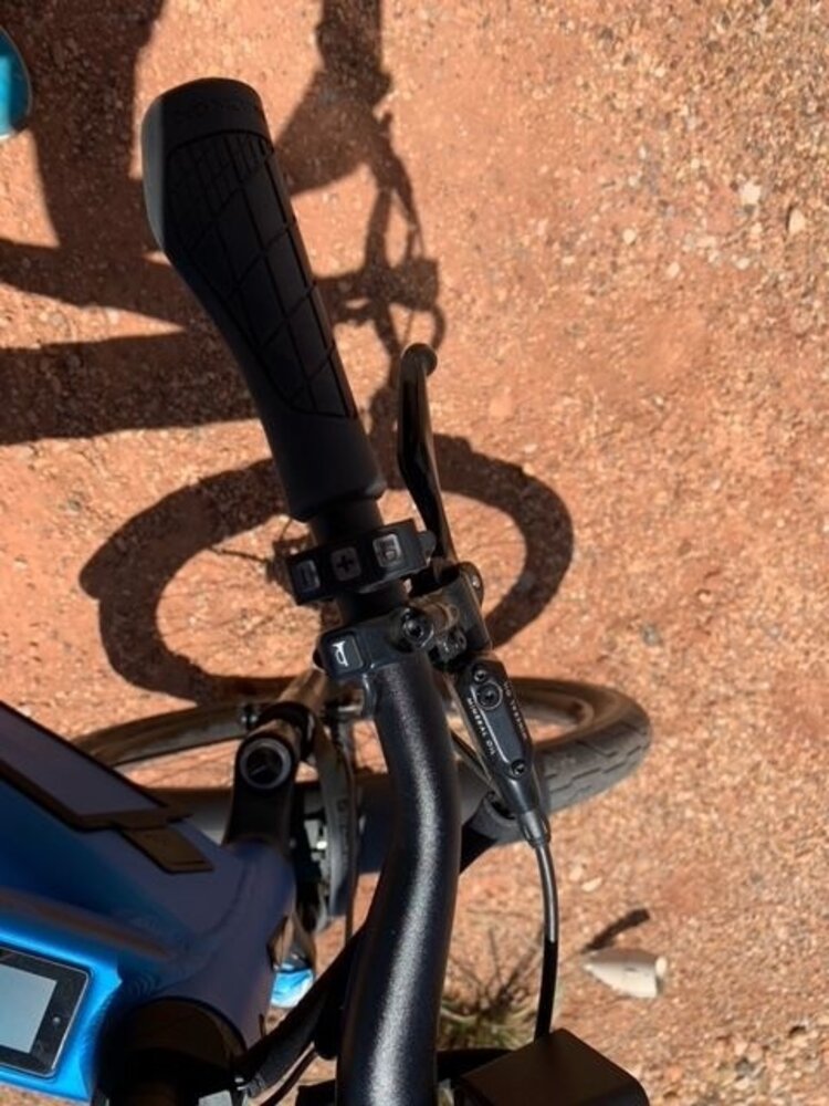 DNA Cycling 2024 IBB Custom Socks  - Blue Orange - Medium