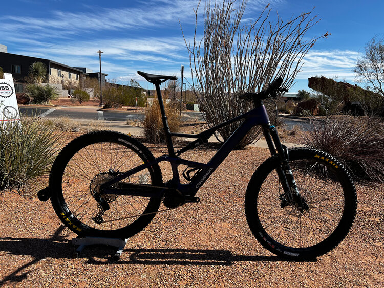 Orbea 2025 - ORBEA RISE LT M20 630W 20mph XL Tanzanite Carbon View - Carbon Raw (Matt)