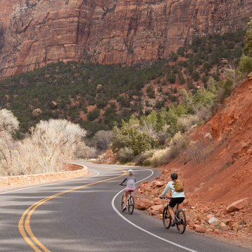 Rental Bikes