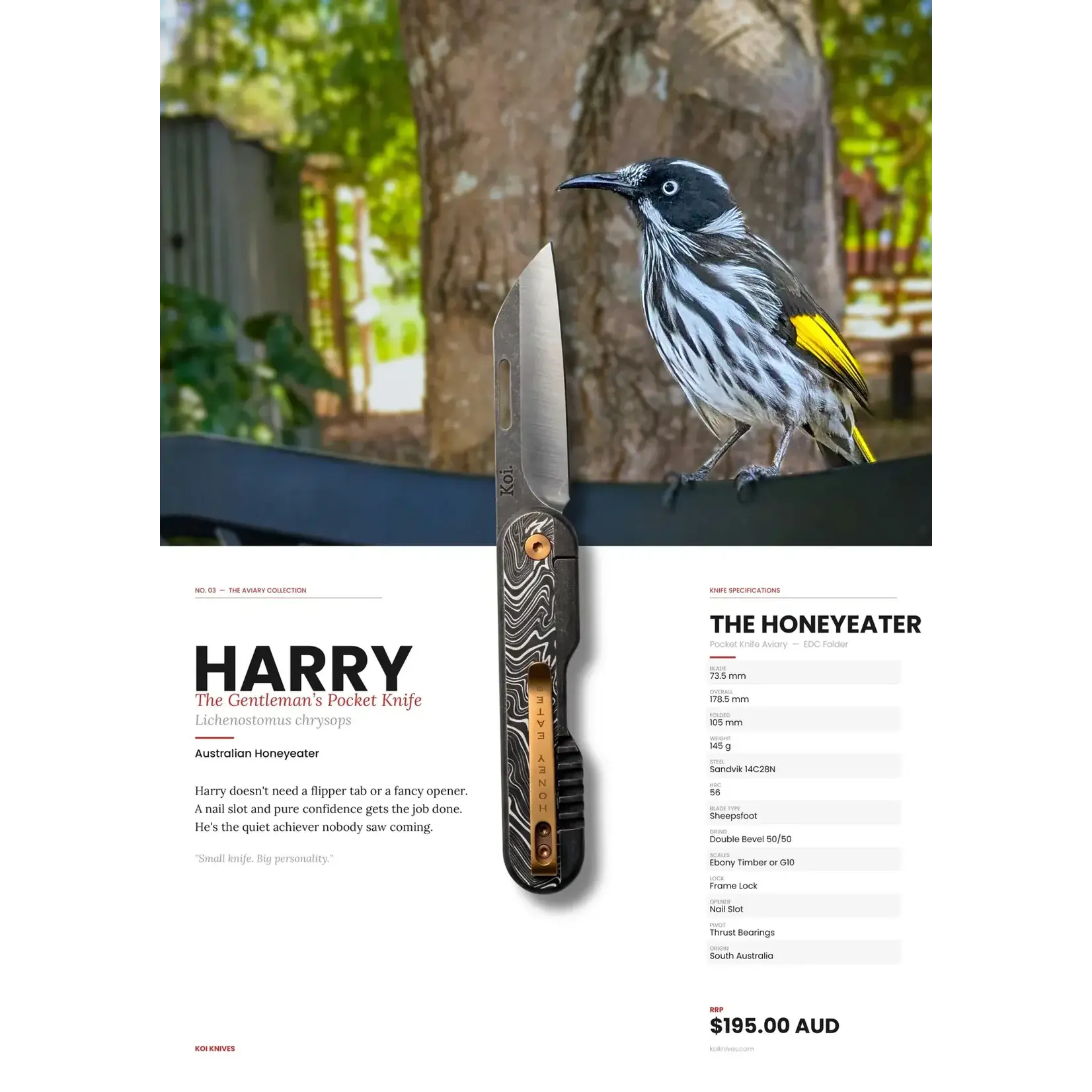 Koi Koi Knife - Harry The Honey Eater