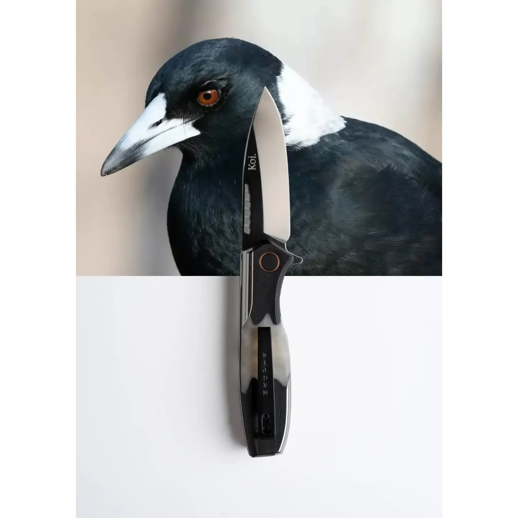 Koi Koi Knife - Max the Magpie
