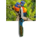 Koi Koi Knife - "Lily" | The Rainbow Lorikeet Pocket Knife