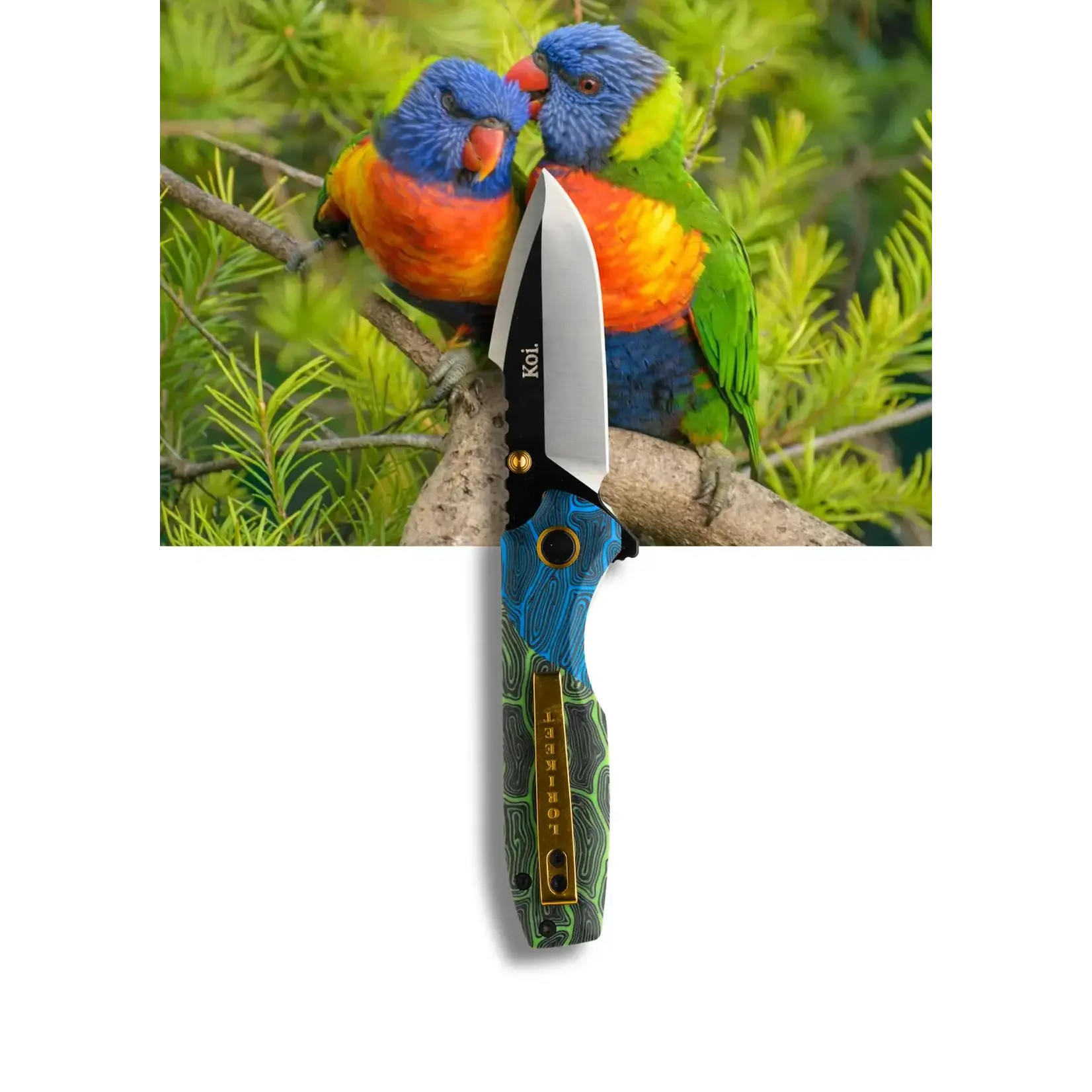 Koi Koi Knife - "Lily" | The Rainbow Lorikeet Pocket Knife