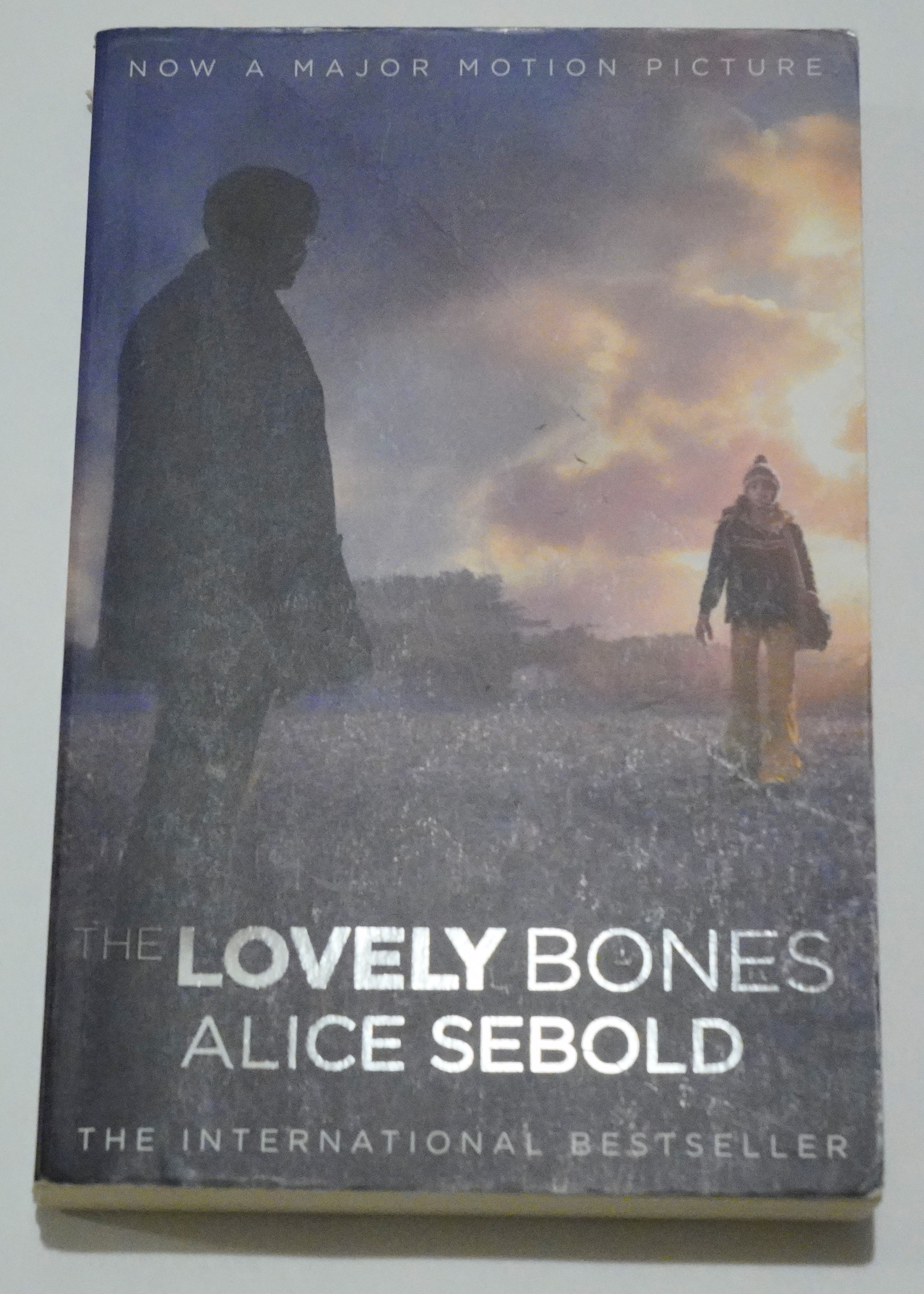 The Lovely Bones Book