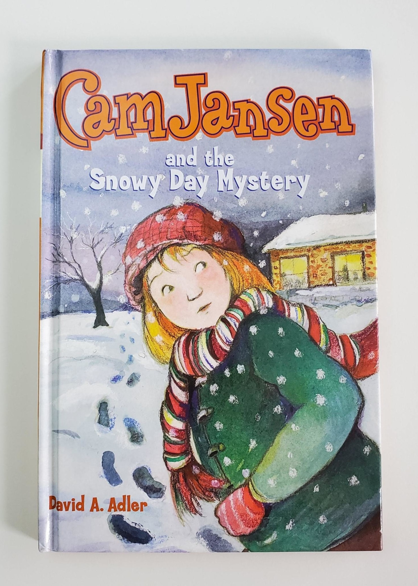 Cam Jansen and the Snowy Day Mystery (CJ 24)