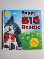 Igloo Books Puppy's Big Rescue