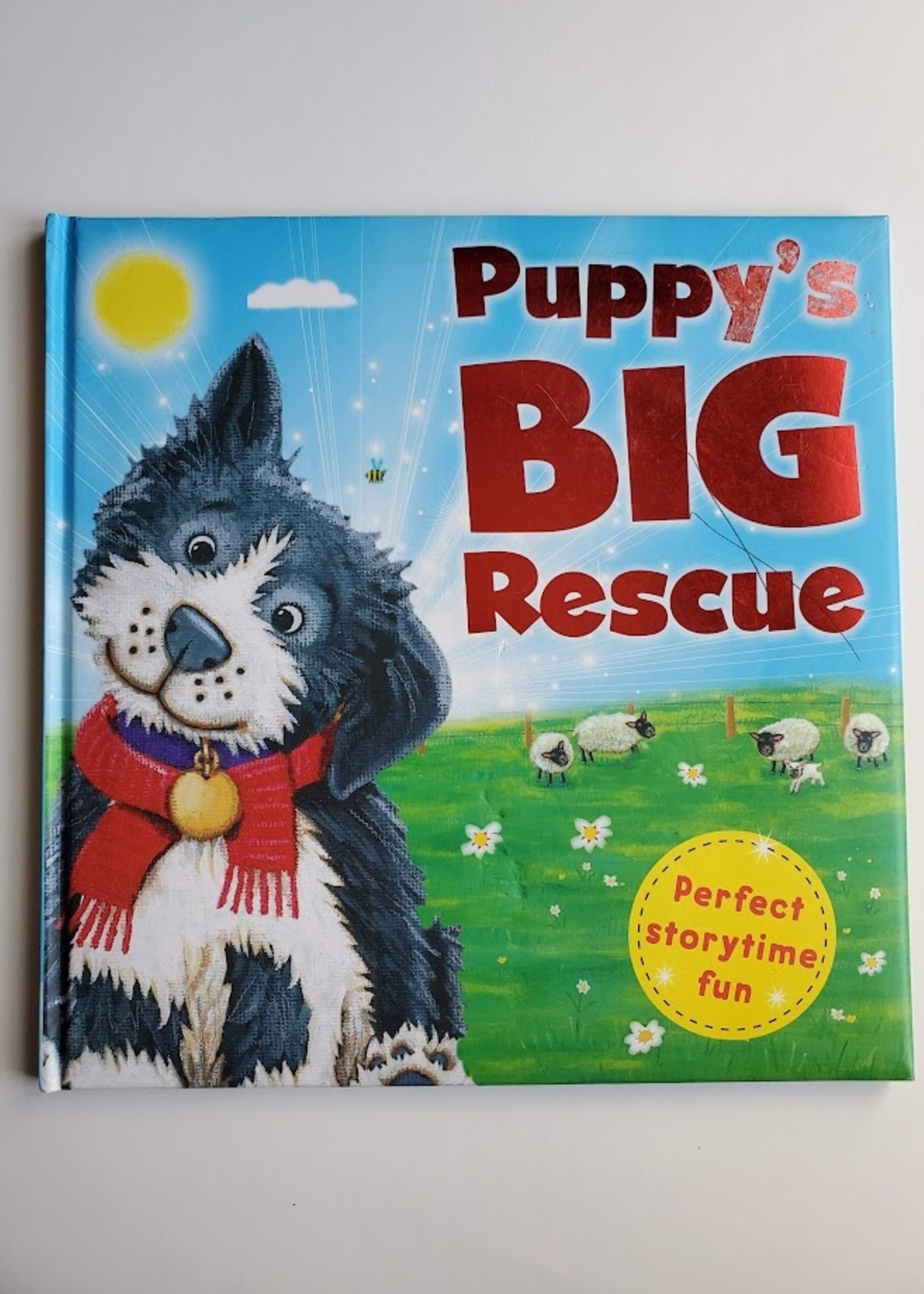 Igloo Books Puppy's Big Rescue
