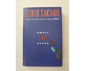 Small steps - Louis Sachar 