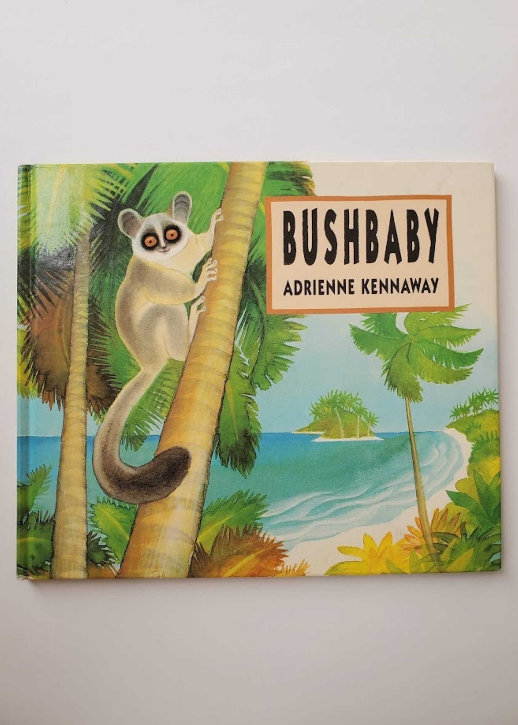 Bushbaby