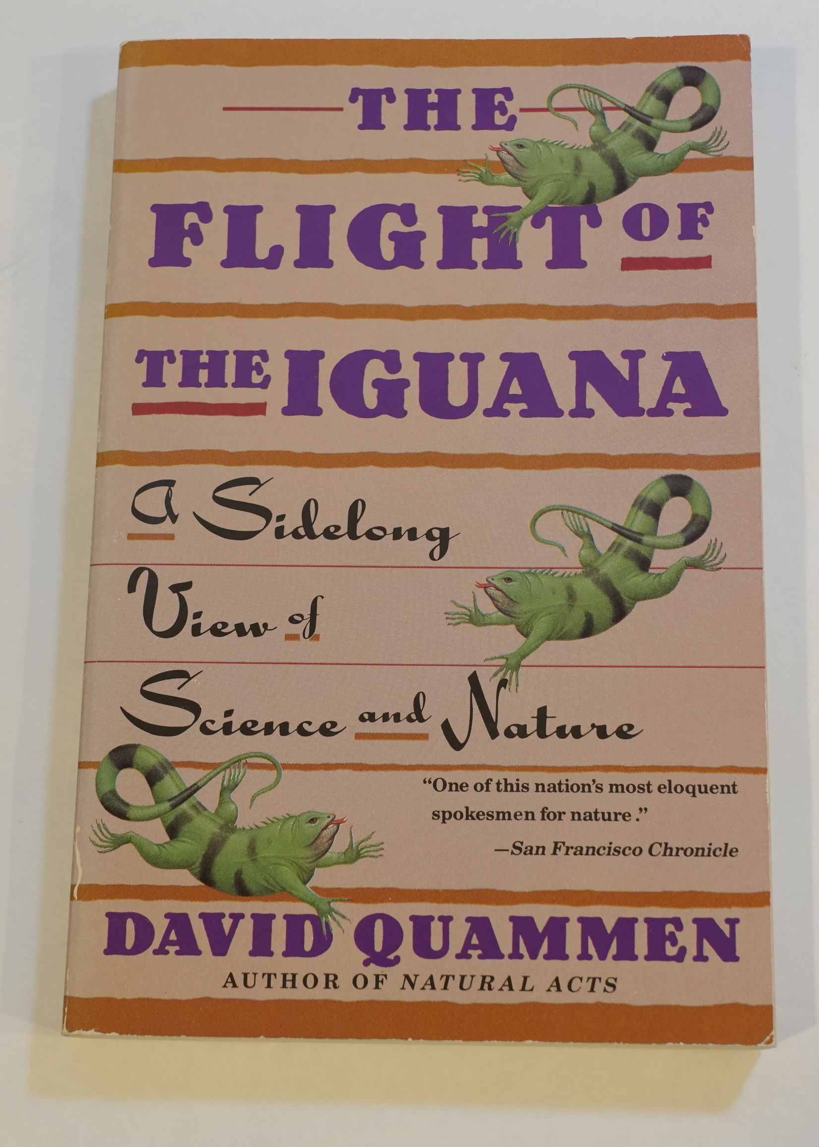 The Flight of the Iguana