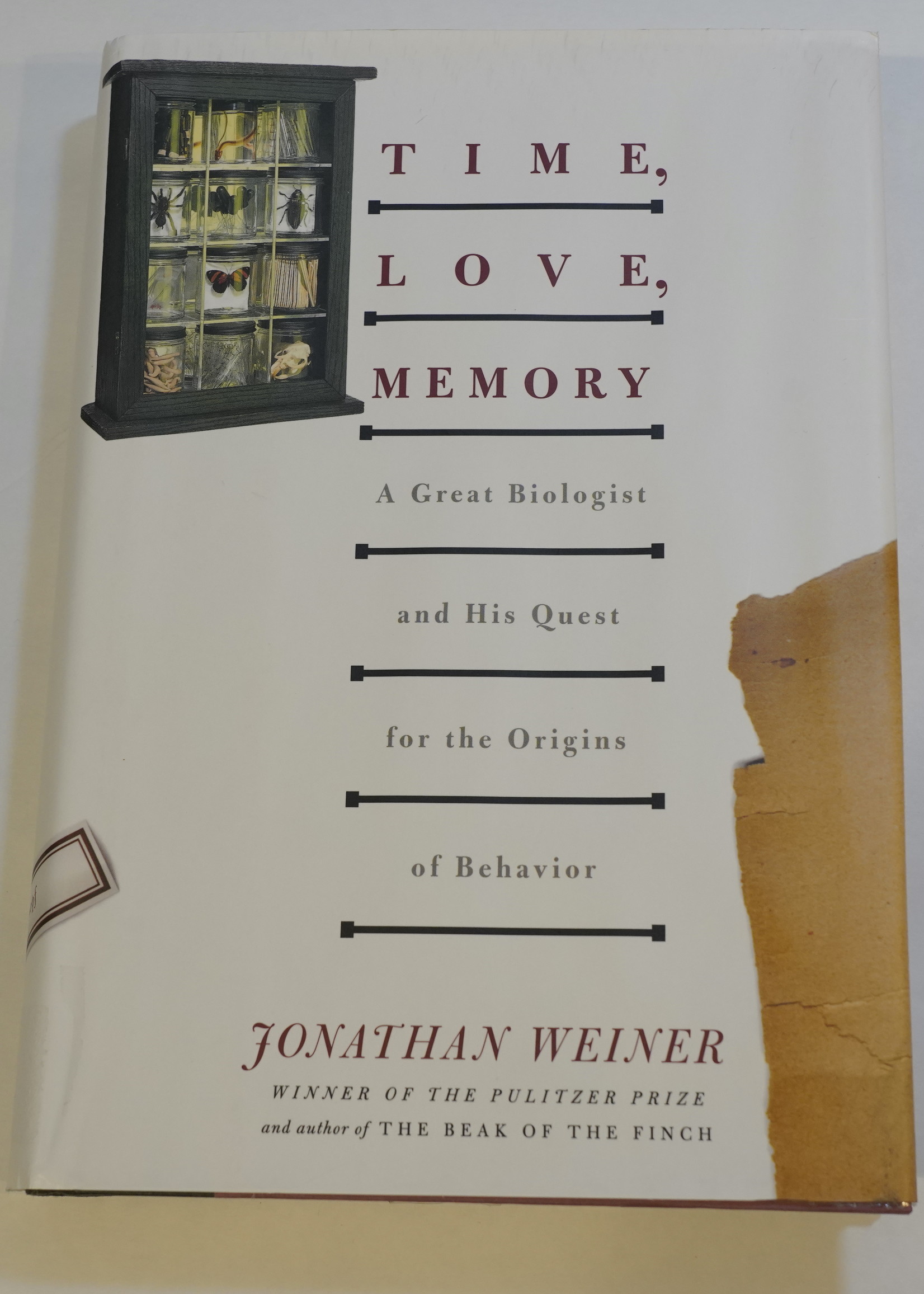 Time, Love, Memory - A Great Biologist and His Quest for the Origins of Behavior