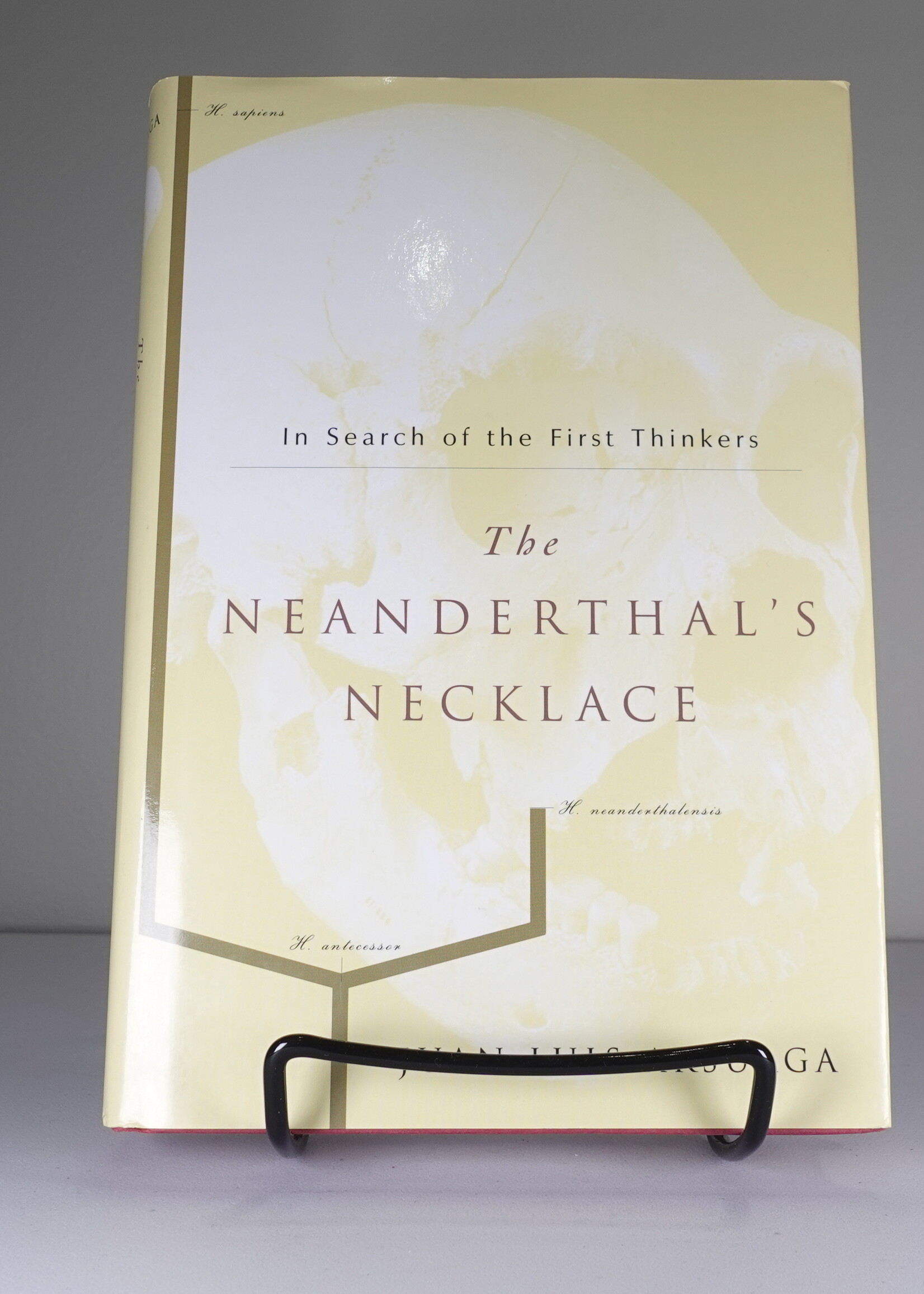 The Neanderthals’s Necklace