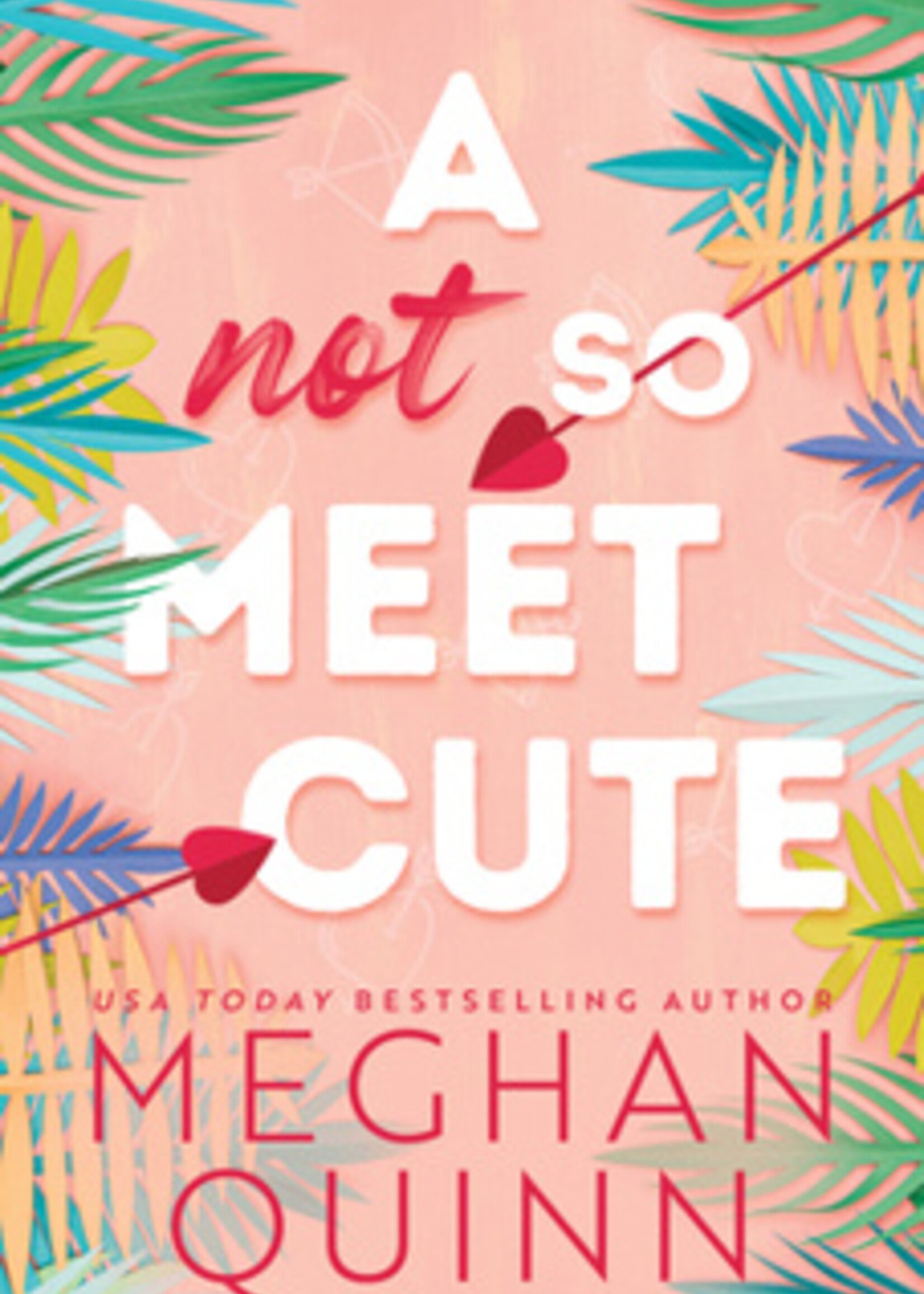 Bloom A Not So Meet Cute (Book #1 in the Cane Brothers Series) (N)
