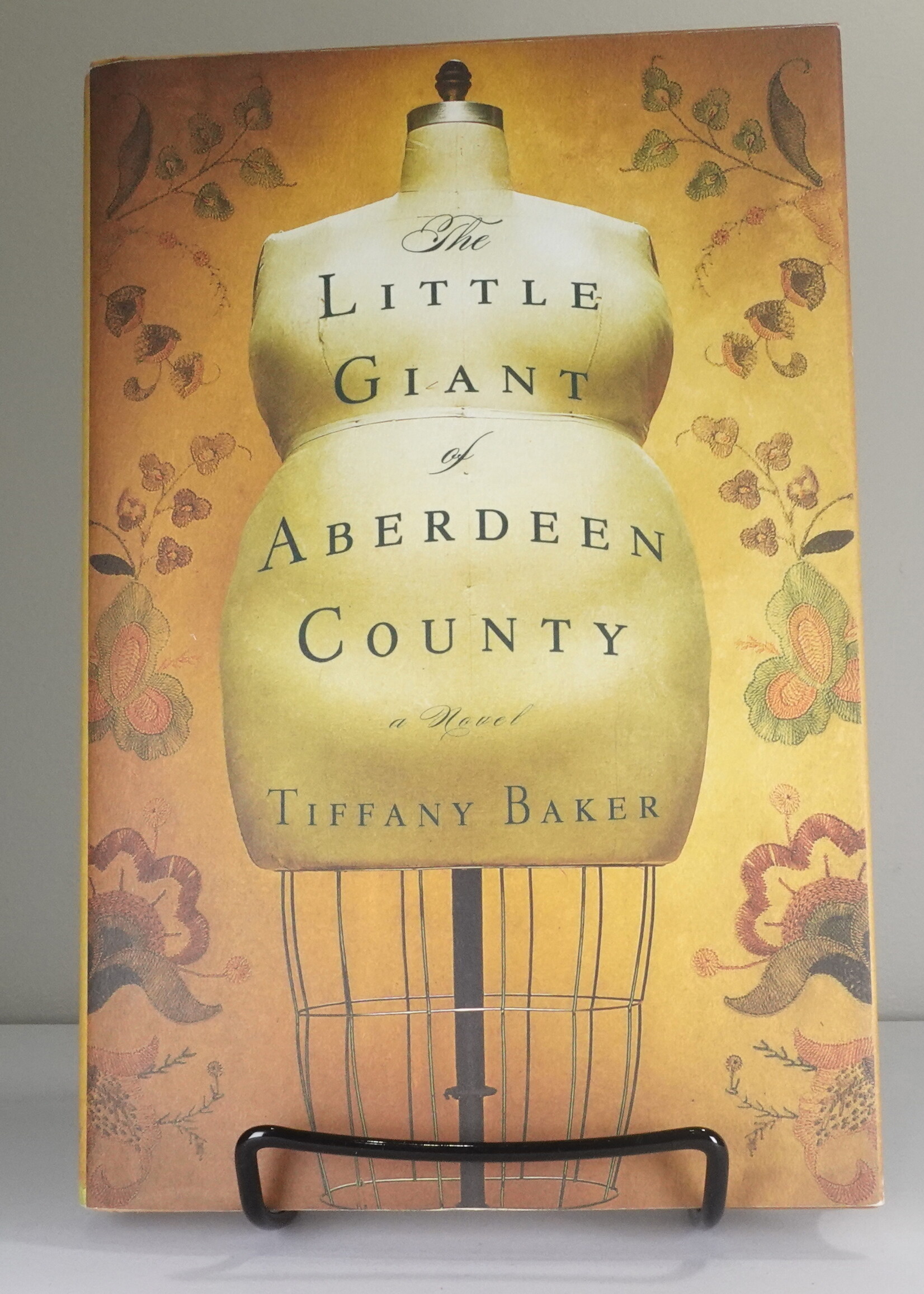 Grand Central Publishing The Little Giant of Aberdeen County (u)