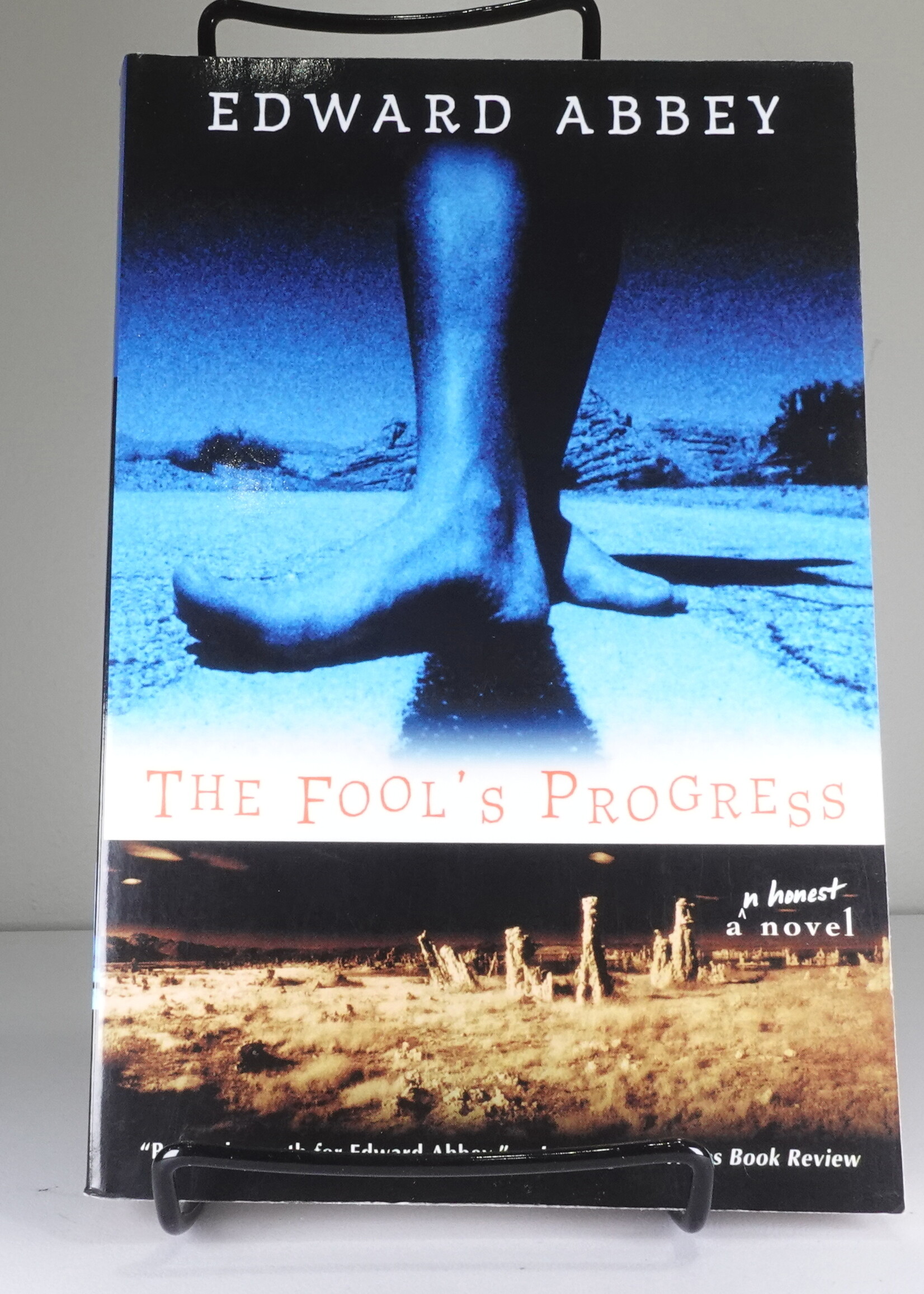 Holt The Fool's Progress: An Honest Novel