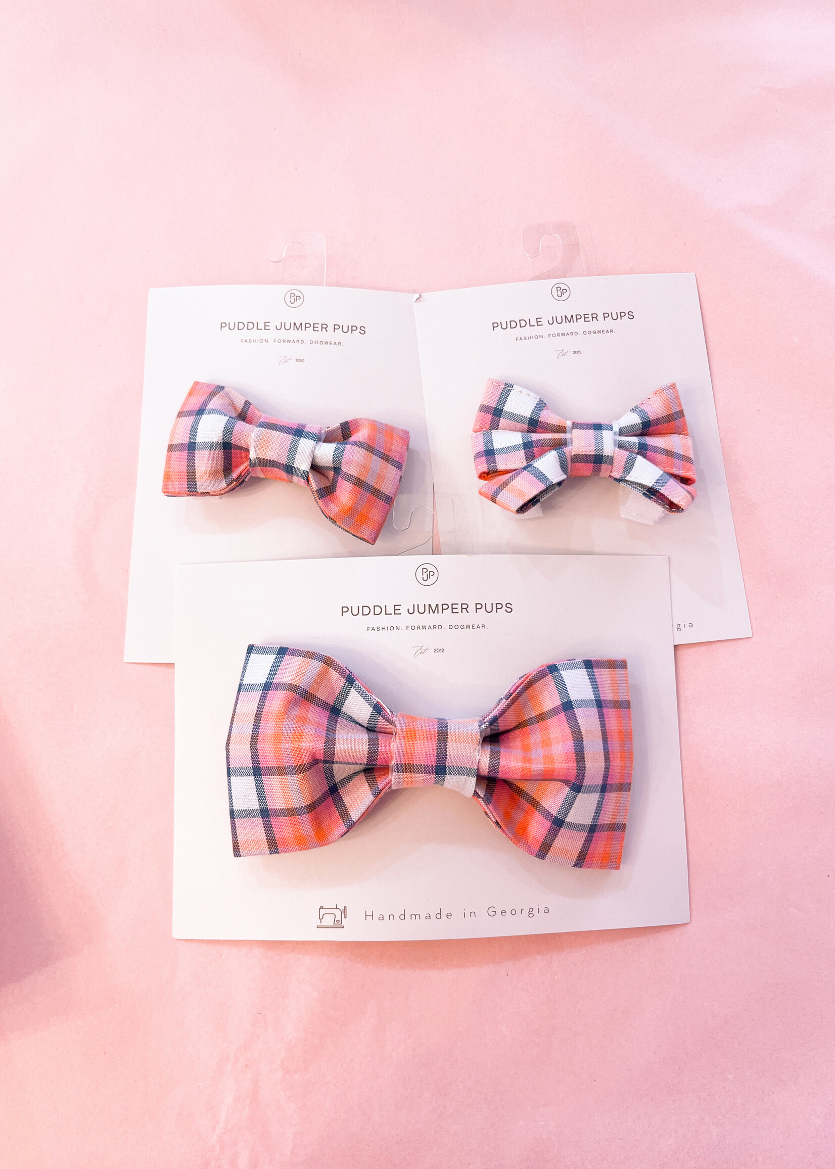 The teddy dog bowtie  S/M