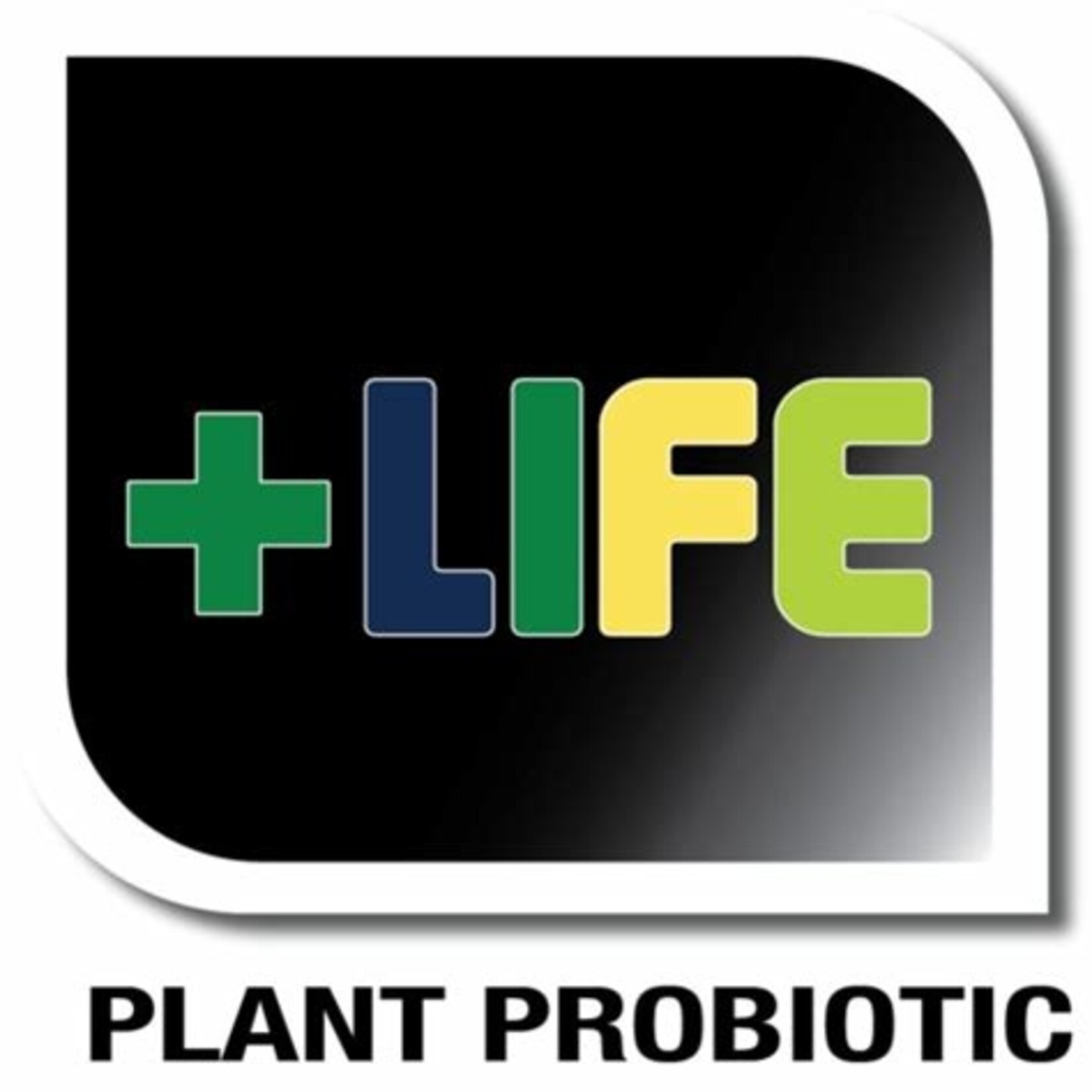 Veg+Bloom VEG+BLOOM +LIFE ADDITIVE, 100 gram