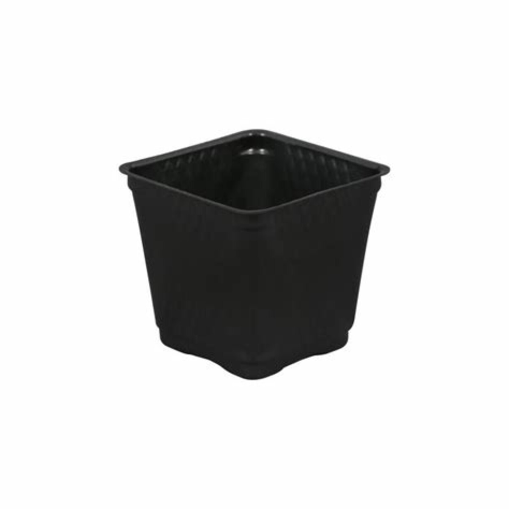 Gro Pro Gro Pro Square Plastic Pot Black 3.5 in