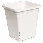 Active Aqua Active Aqua 12" x 12" Square White Pot, 12" Tall