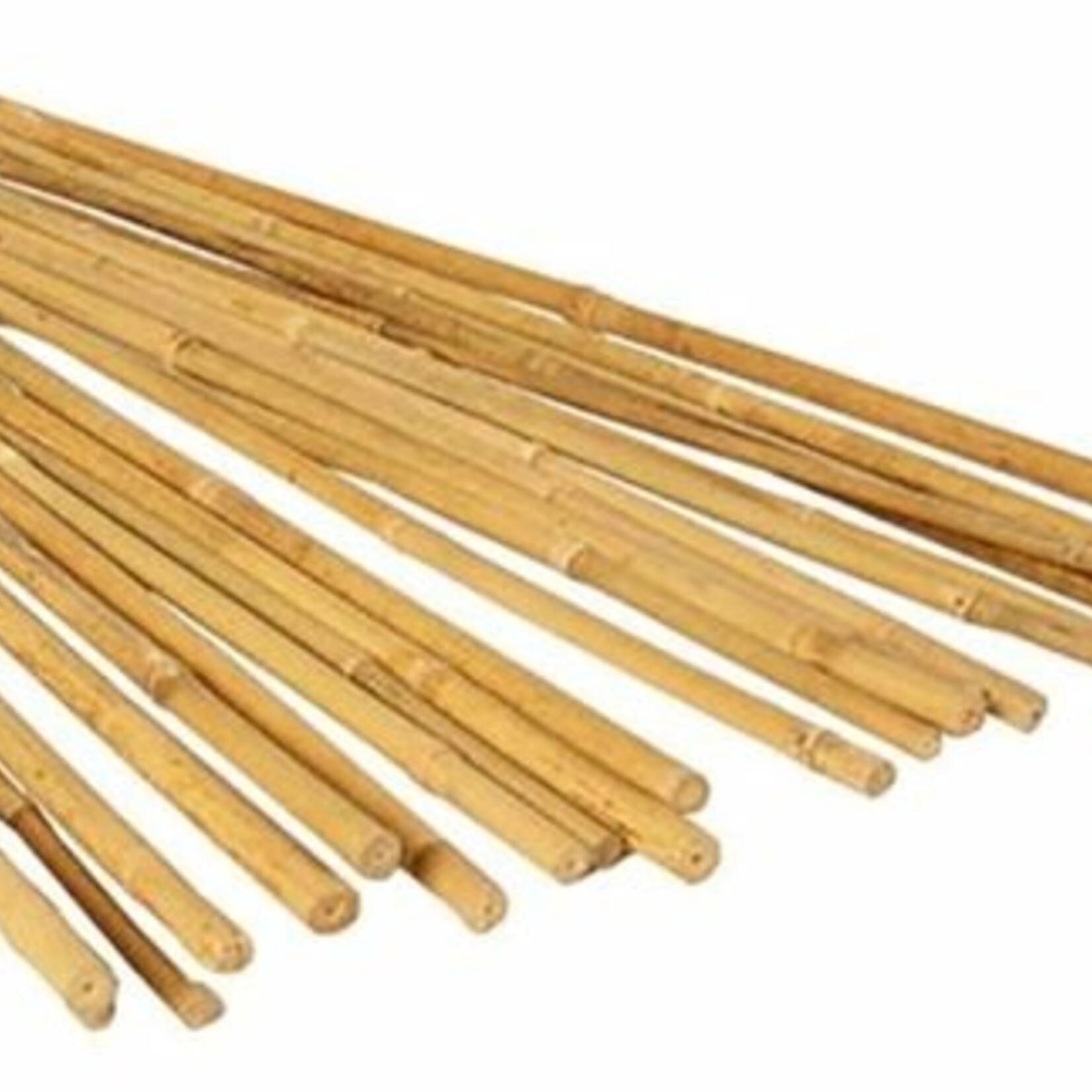 3' Bamboo Stake, pack of 25