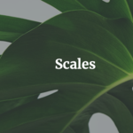 Scales