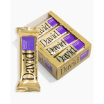 SportLife David Protein Bar- Blueberry Pie