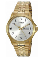Citizen BF5002-99P YG Expansion