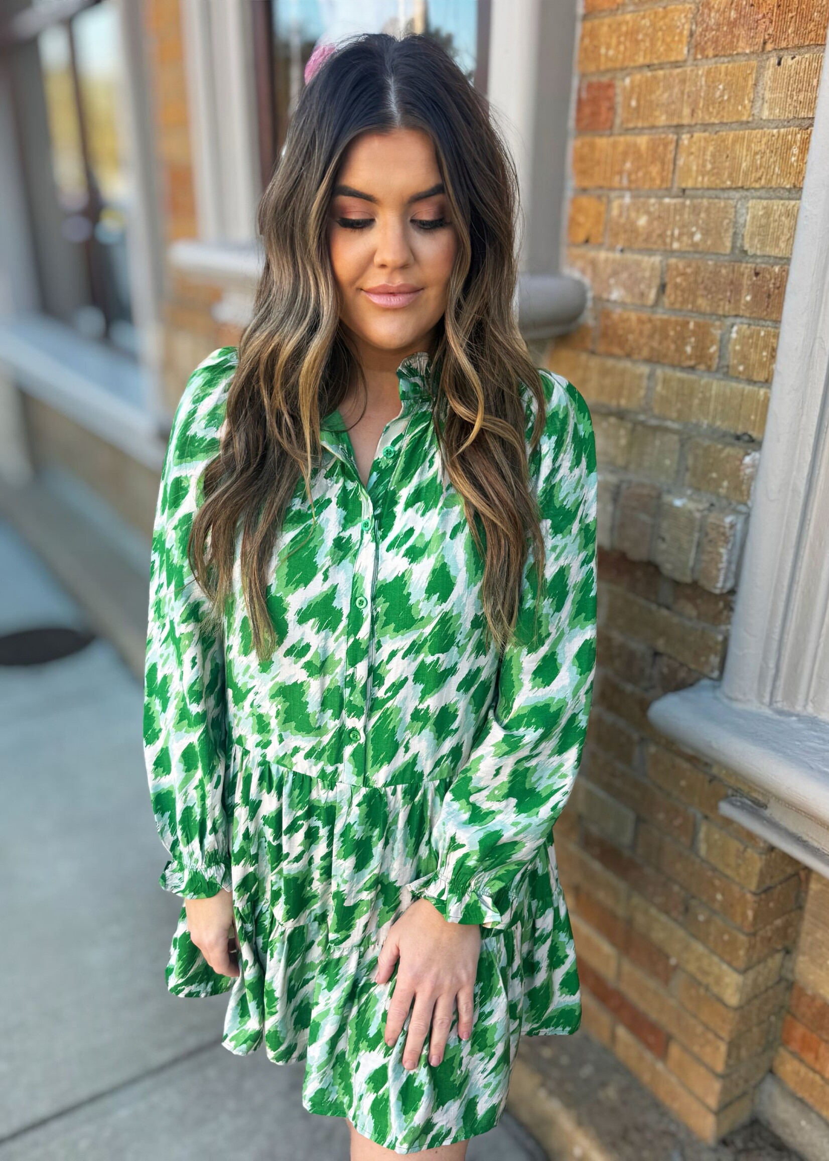 Bloom and Company Long Sleeve Green Abstract Dress