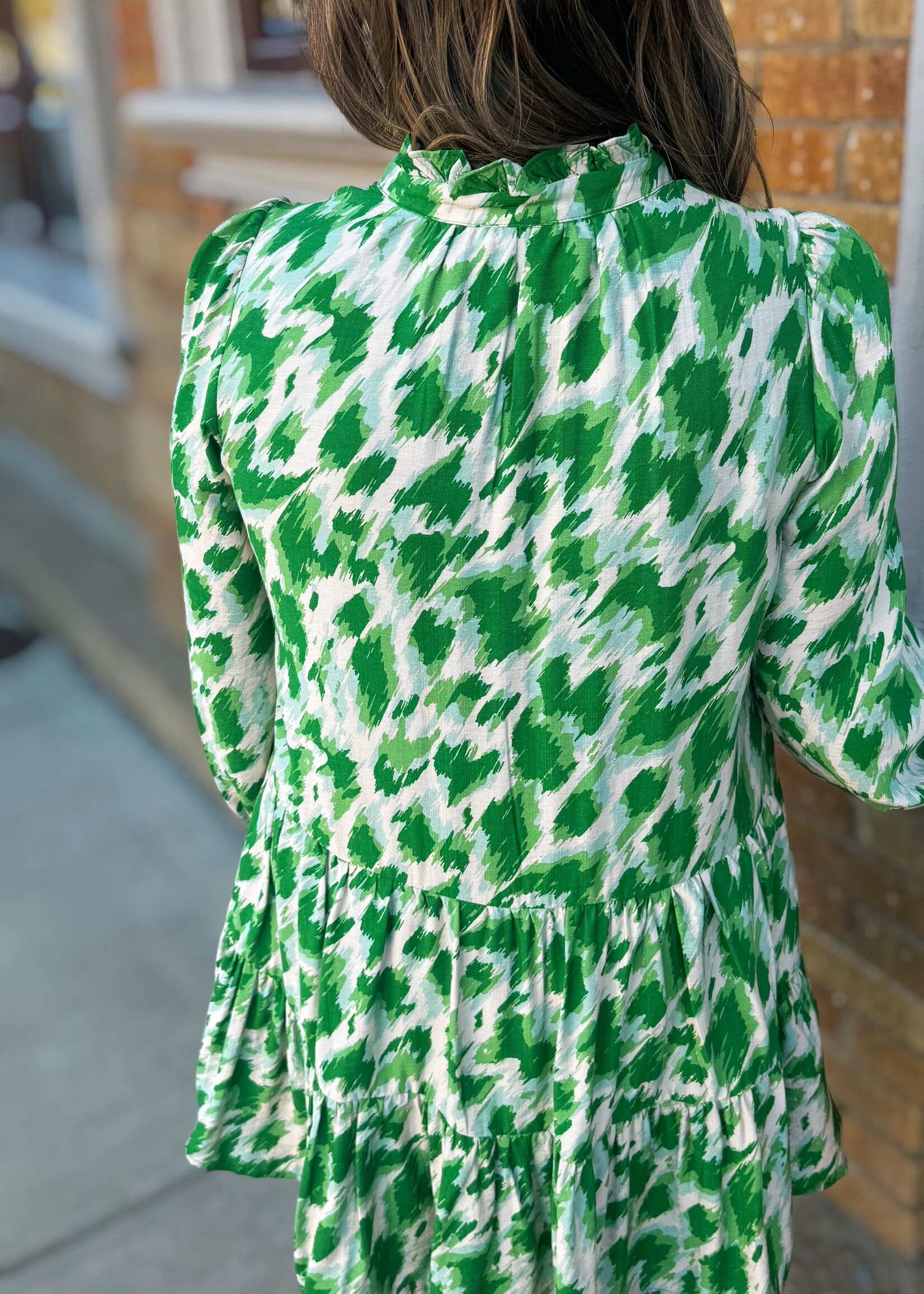 Bloom and Company Long Sleeve Green Abstract Dress