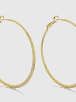 Bloom and Company Large Shimmer Lever Back Hoops