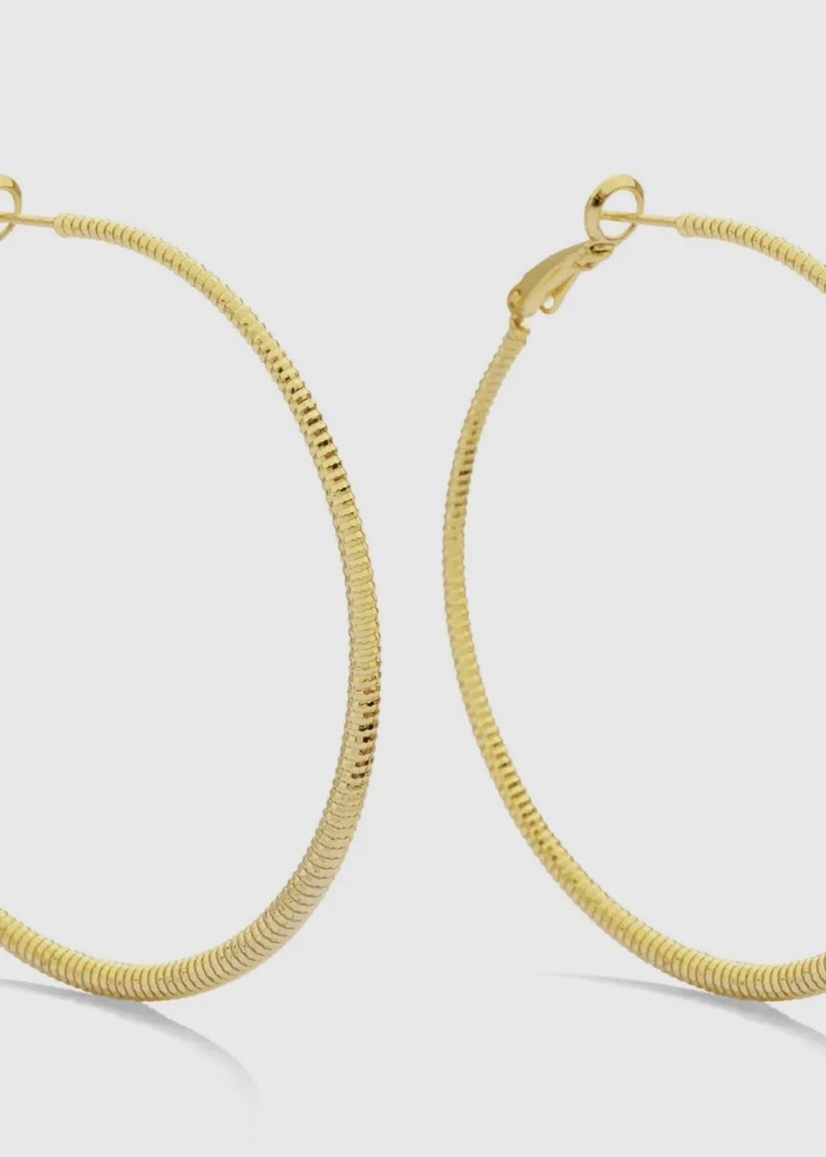 Bloom and Company Large Shimmer Lever Back Hoops