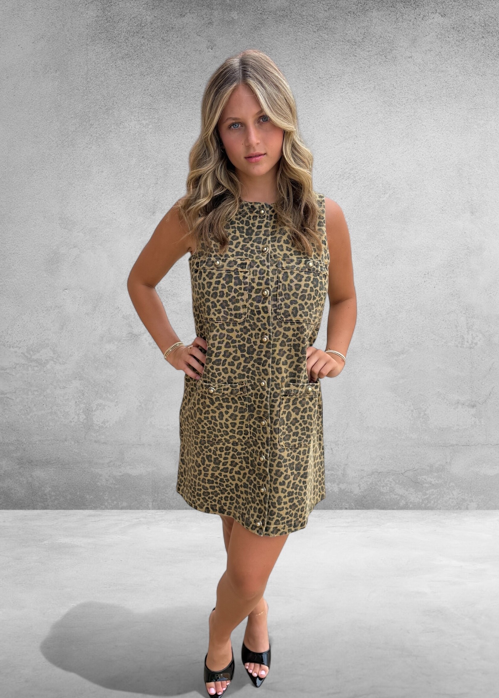 Bloom and Company Leopard Print Denim Dress w/ Gold Buttons