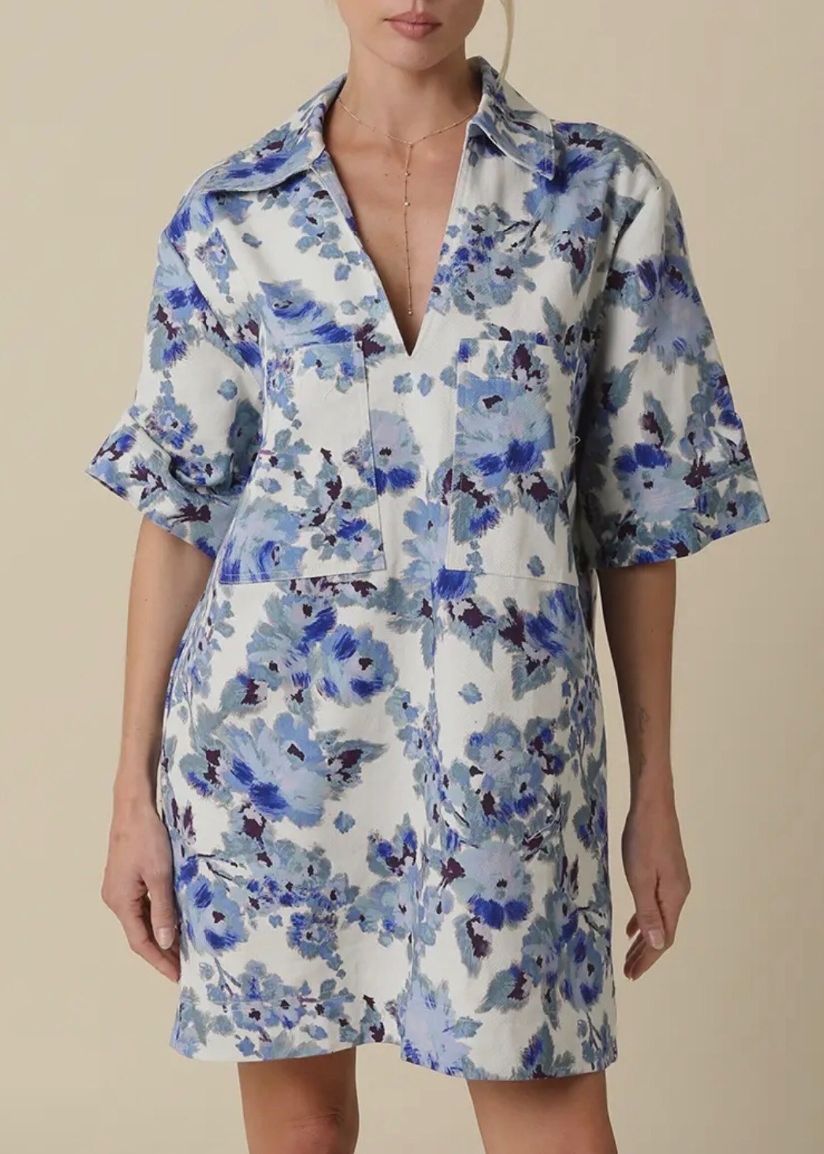 Olivaceous Blue Carley Floral Collared Dress